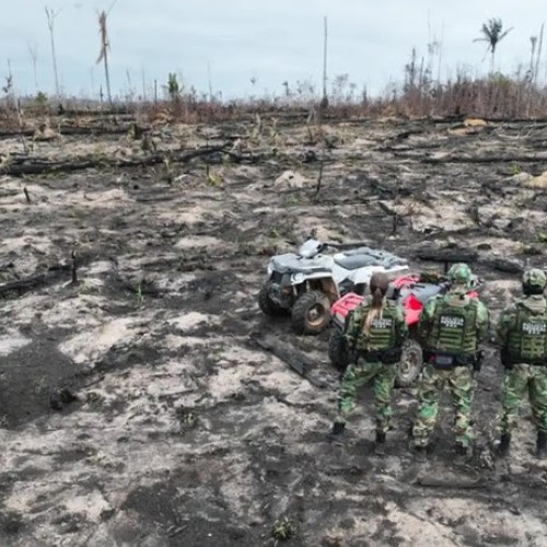 Operação Incêndios 2025: Polícia Federal lança ação integrada contra queimadas e crimes ambientais
